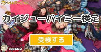カイジューバイミー検定