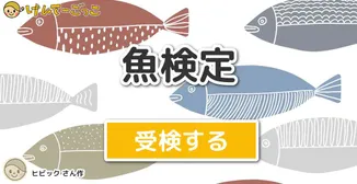 魚検定