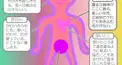 けんてー
