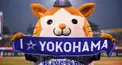 続・続・横浜(DeNA)ベイスターズ＆(横浜)大洋ホエールズ検定