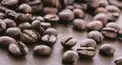 うまいコーヒー検定基礎編その1