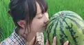 山本愛梨検定