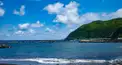 真・八丈島検定