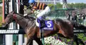 競馬検定(初級・中級編)