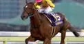 競馬検定(ダート編)