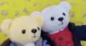 🍌🐟フィッシャー検定 初級😼🐰