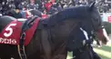 ダンビュライト検定