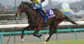 クラシック三冠馬検定
