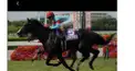競馬「おやじギャル」(死語)初心者診断