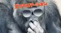 ゴリラステーション検定2級