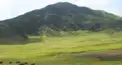 南阿蘇検定