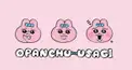 あなたはおぱんちゅうさぎ度何%かな？検定
