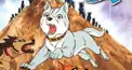 アニメ・銀牙ー流れ星銀ー検定