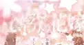 上杉風太郎プロフクイズ