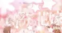 中野一花クイズ