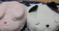 名探偵コナン