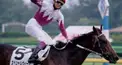 競馬検定（初心者向け）