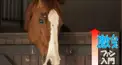 スプリンターズS検定（激ムズ）