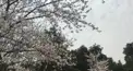 ヒプノシスマイク検定（間違ってるところあったらすみません）