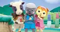ポコポッテイト検定