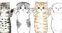爆猫倶楽部検定★★★