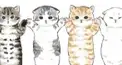 爆猫倶楽部検定★★★★