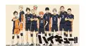 ハイキュー!!検定