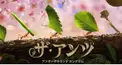 アンツ検定Vol.1