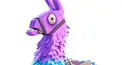 FORTNITE検定