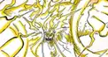 ワンピース(原作)検定 その㊺