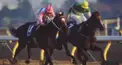 競馬クイズ