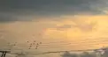 ☁️自己紹介🪽