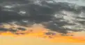 掲示板☁