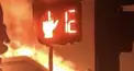 殺人カラー診断