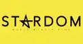 STARDOM技検定～中級①～