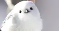 死にたい人・悩みを聞いて欲しい人。おいで