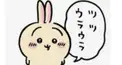 うさぎファンなあなたの為の検定