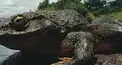 変な人？