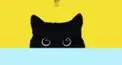 猫好きあつまれねこねこ掲示板