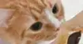 雑談