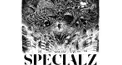 SPECIALZ検定