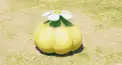 ピクミン4検定