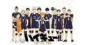 ハイキュー知っている方、お話しませんか？🏐