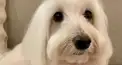 8loomyならわかるべき！