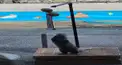 レイパラで話す部屋