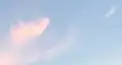 みみちゃんの相談室！