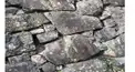 戦国   雑学どれだけ知ってるかい？検定