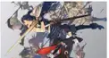 ファイアーエムブレム検定(シリーズ)