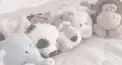モテてるかな占い