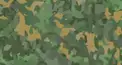 世界の軍隊④